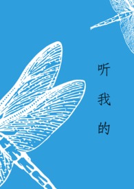 最强小皇姑合集完整版