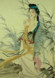 玉萝娇全文免费看
