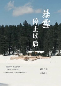 暴雪平台停运